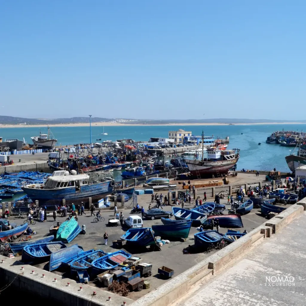 Essaouira Port Guided tour